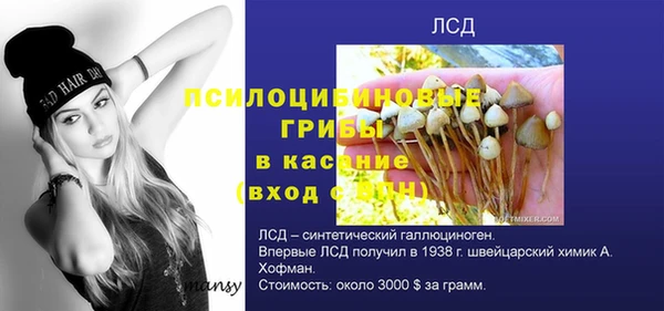 PSILOCYBIN Армянск