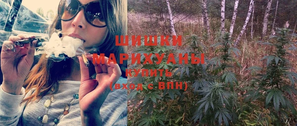 PSILOCYBIN Армянск