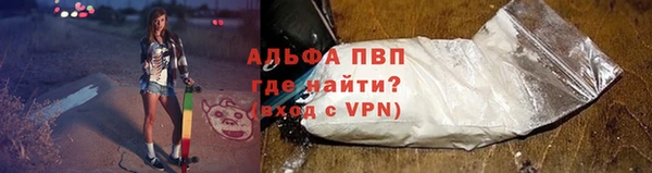PSILOCYBIN Армянск