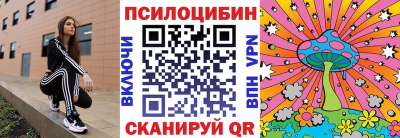 Галлюциногенные грибы мицелий  Салехард 